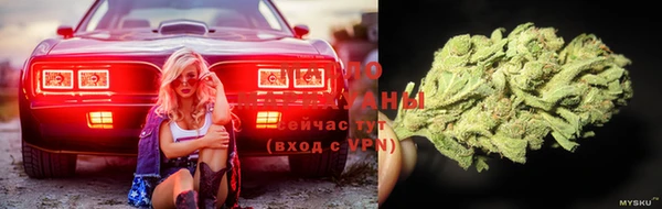 мяу мяу кристалл Няндома