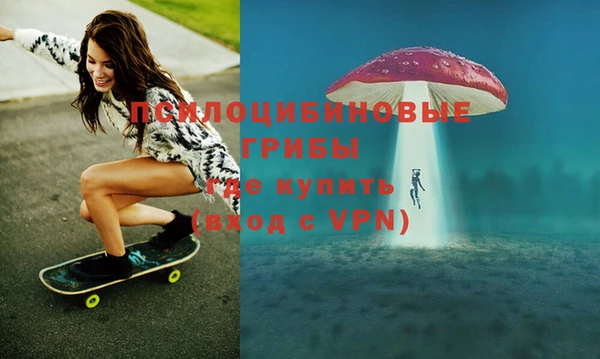 круглые Алзамай