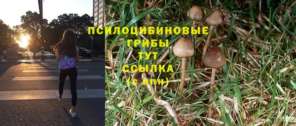 соль ск Алексин