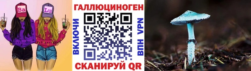 дарнет шоп  Беломорск  Галлюциногенные грибы мицелий 