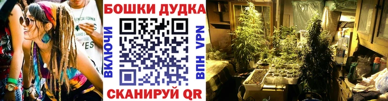 Канабис сатива  Беломорск 